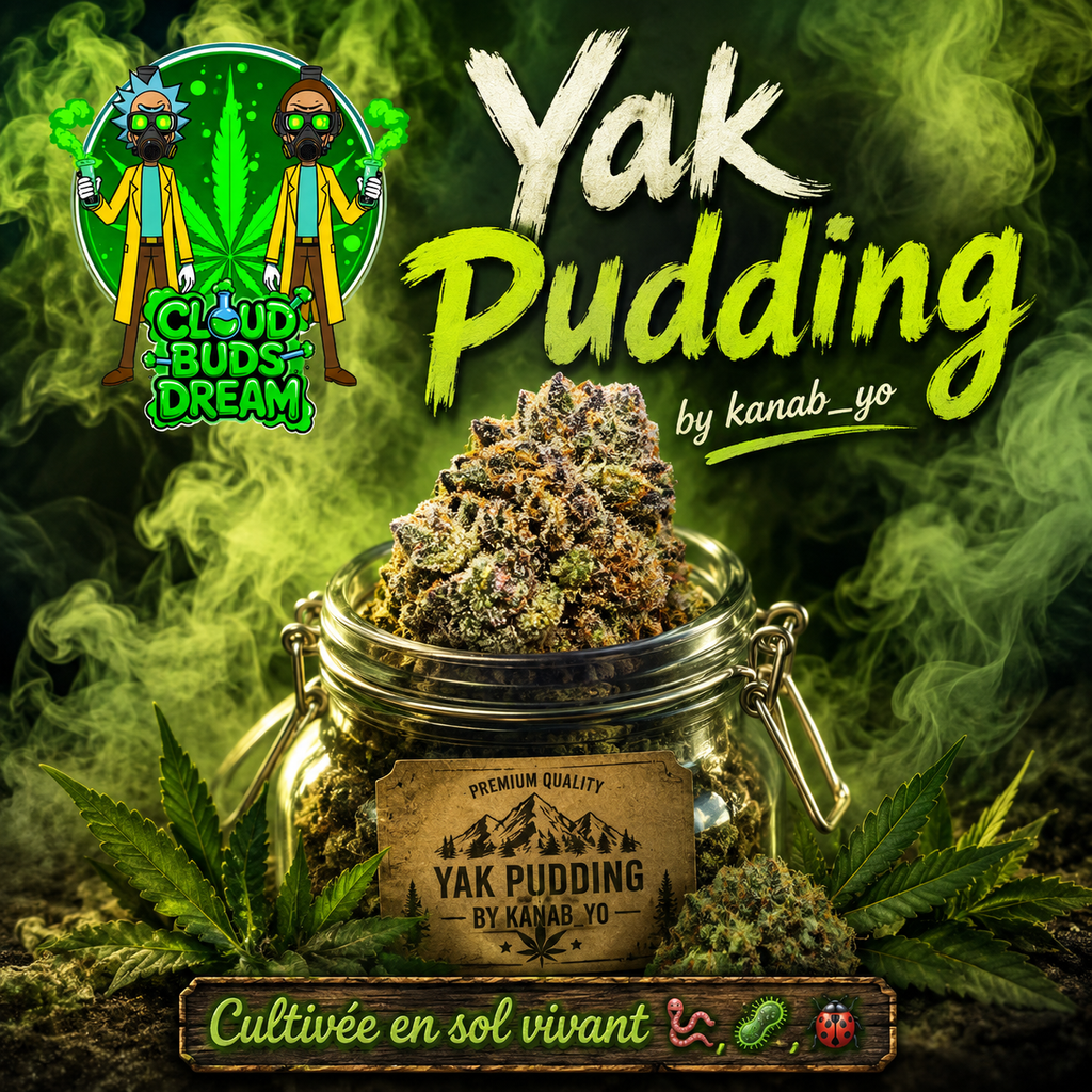 YAK PUDDING by kanab_yo