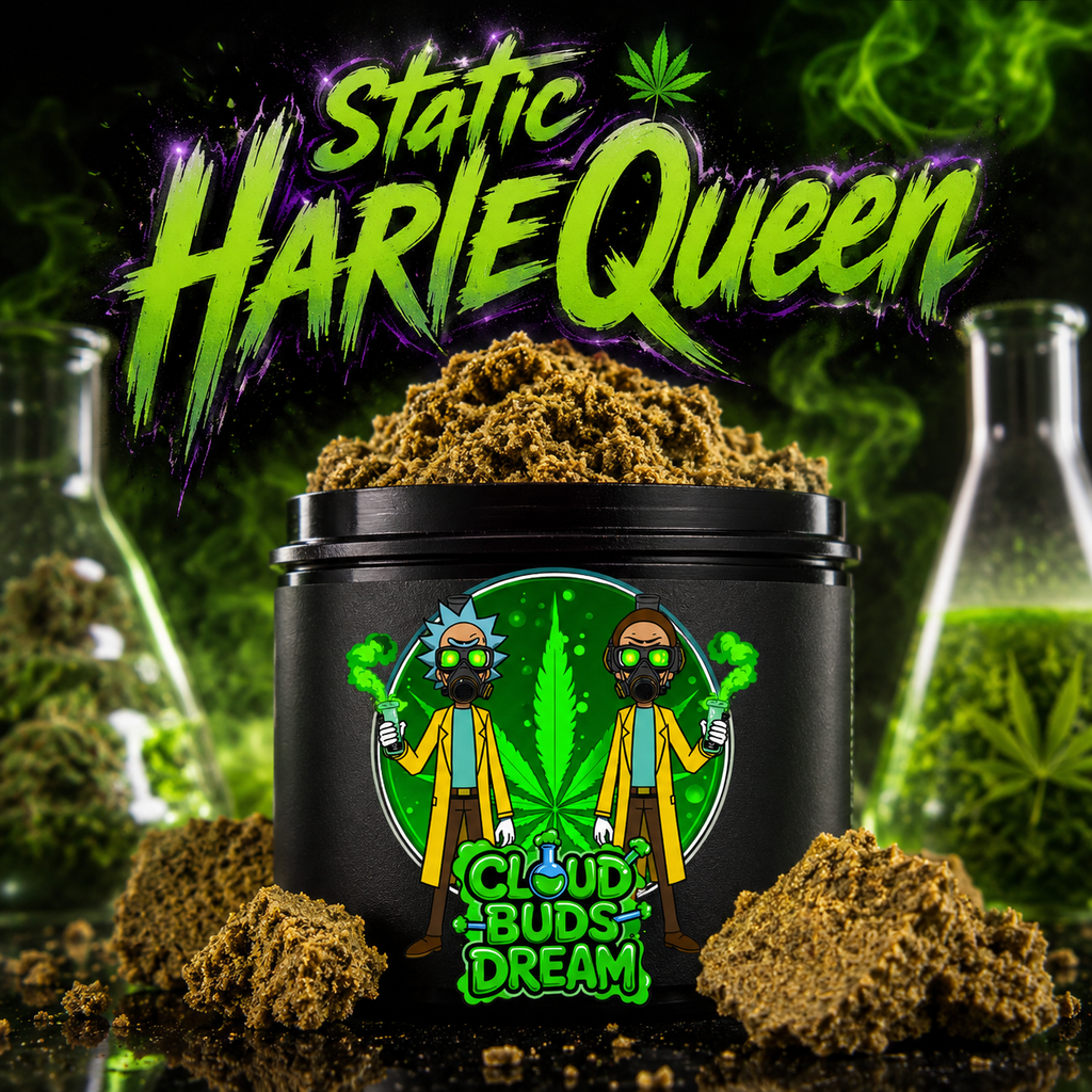 🔥 Static HarleQueen Origine 🔥