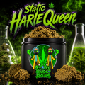 🔥 Static HarleQueen Origine 🔥