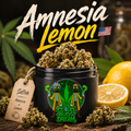 🇺🇲 Amnesia lemon cali 🇺🇲