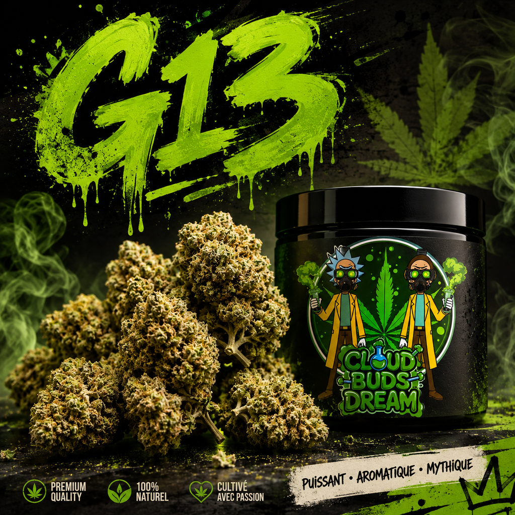 🇲🇫 G13 haze 🇲🇫