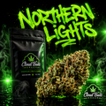 🇲🇫 NORTHERN LIGHTS 🇲🇫