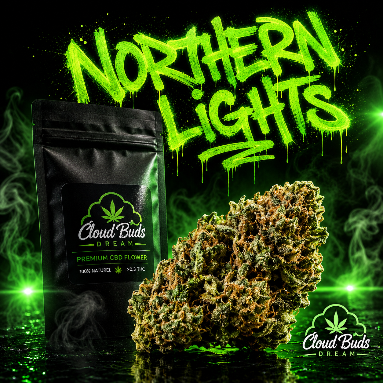 🇲🇫 NORTHERN LIGHTS 🇲🇫