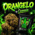 🇲🇫 Orangello by cannaïa 🇲🇫