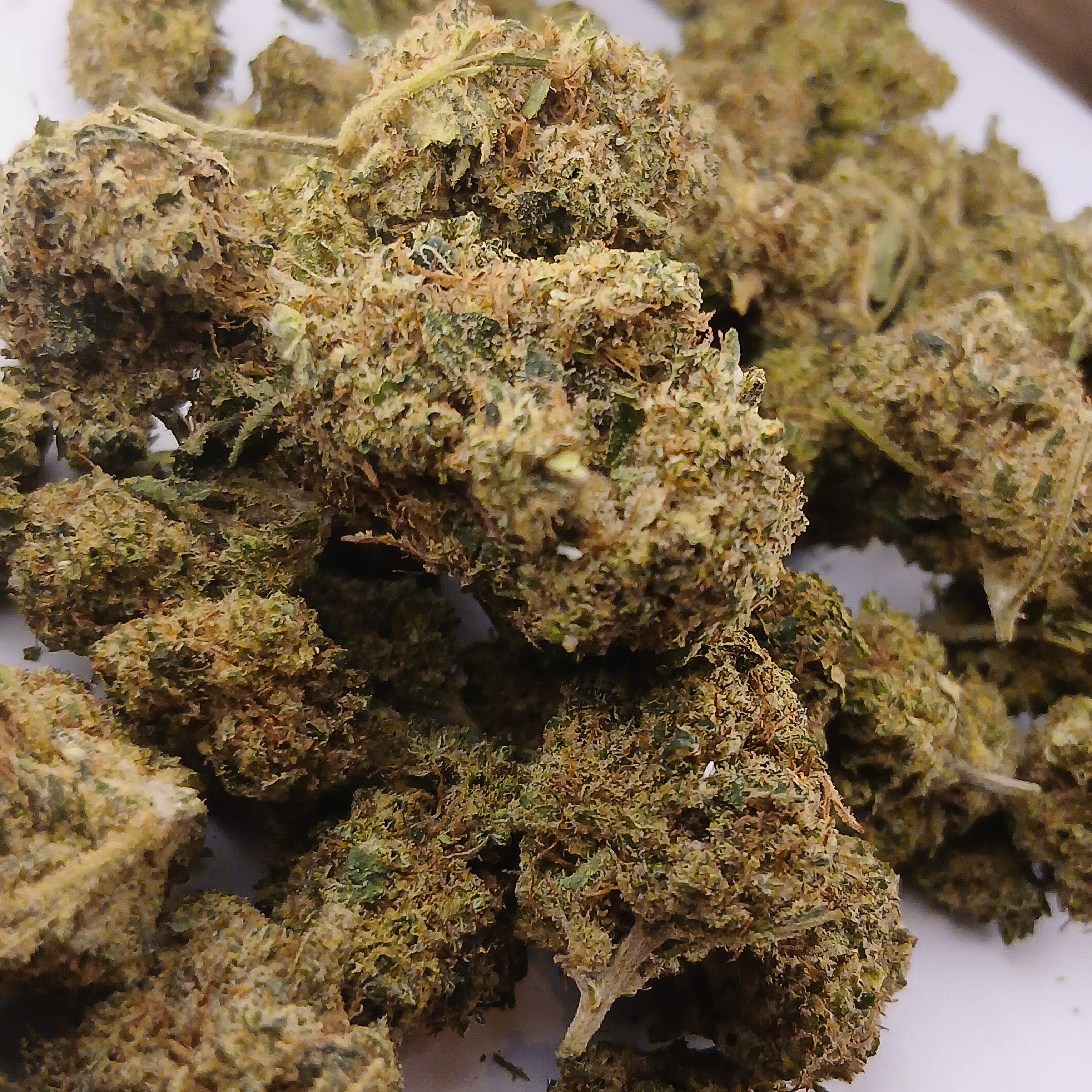 🇲🇫 Orangello by cannaïa 🇲🇫