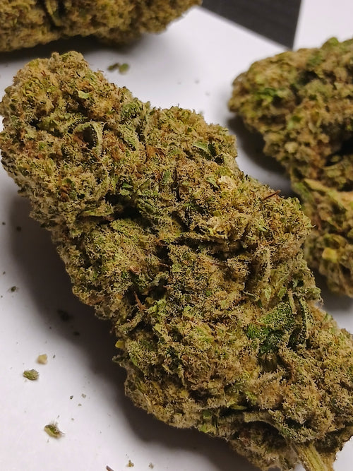 🇲🇫 G13 haze 🇲🇫