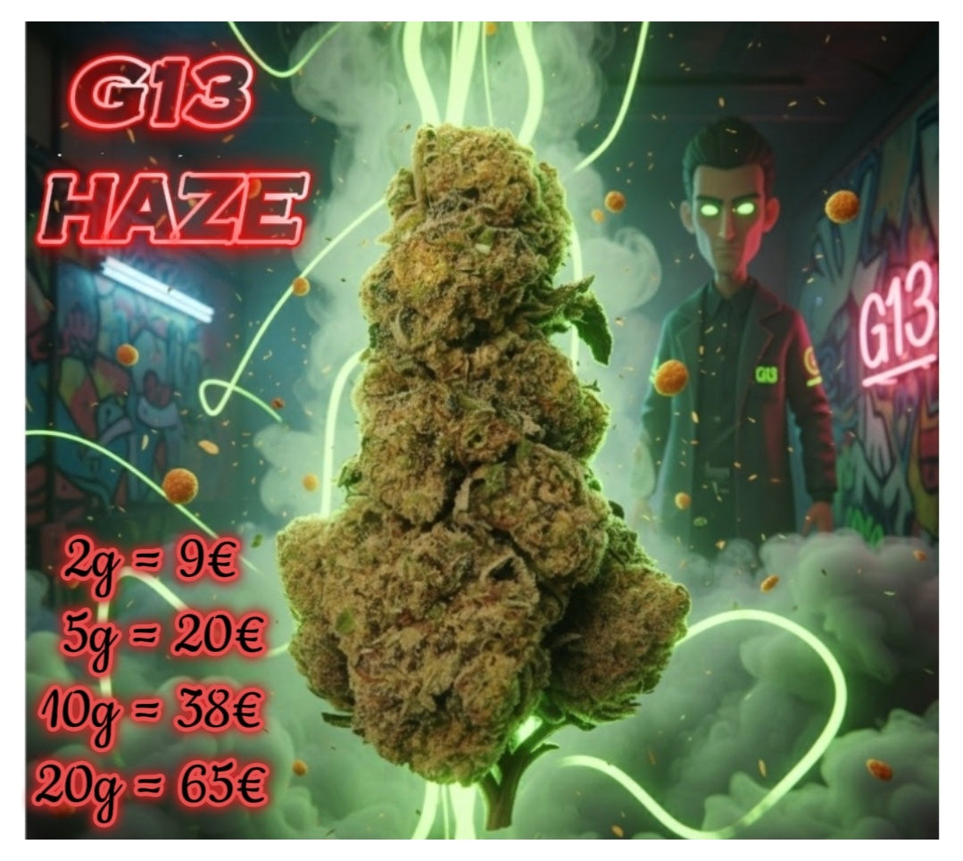 G13 haze 🔞🥵