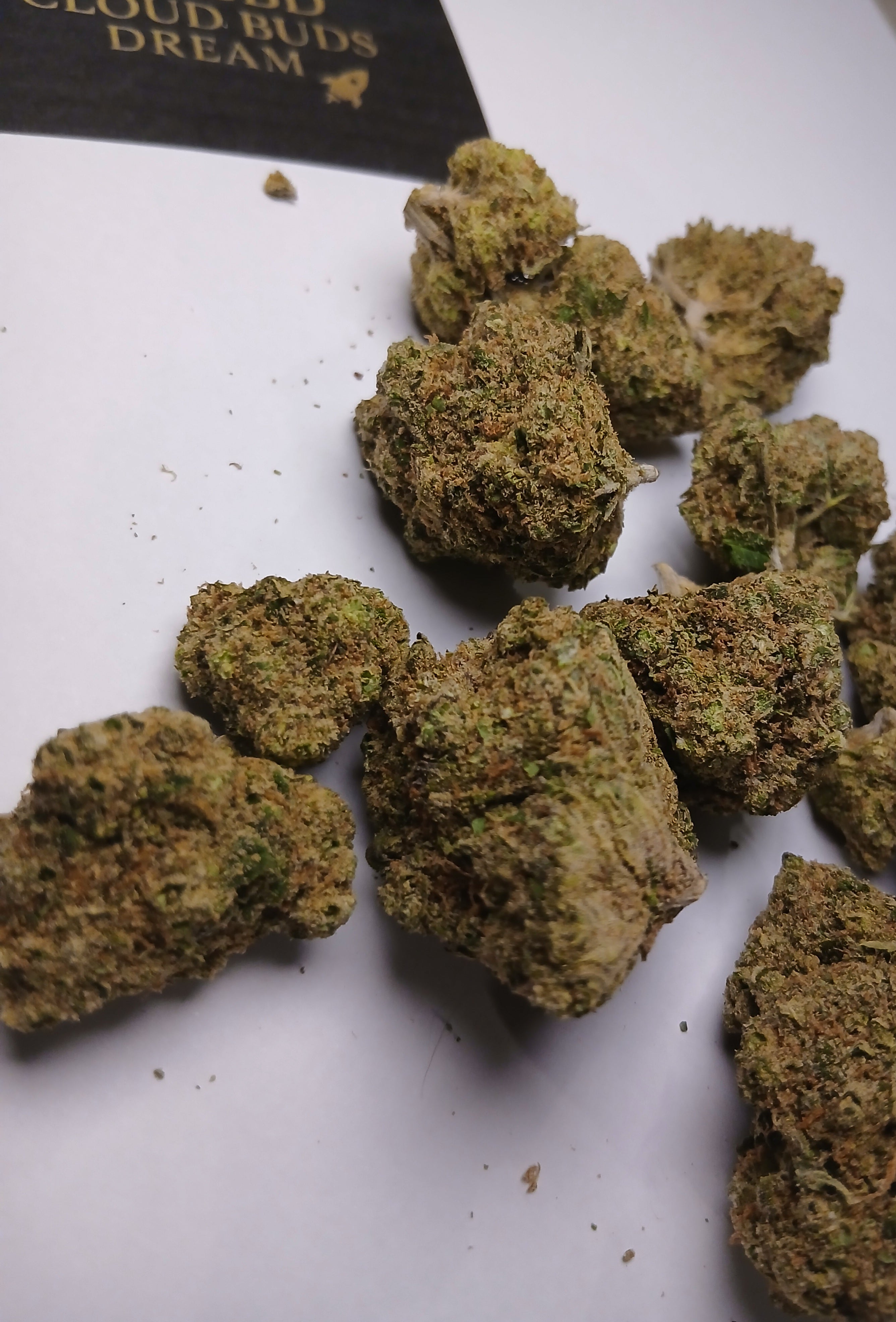 Amnesia lemon cali🏆🇺🇲