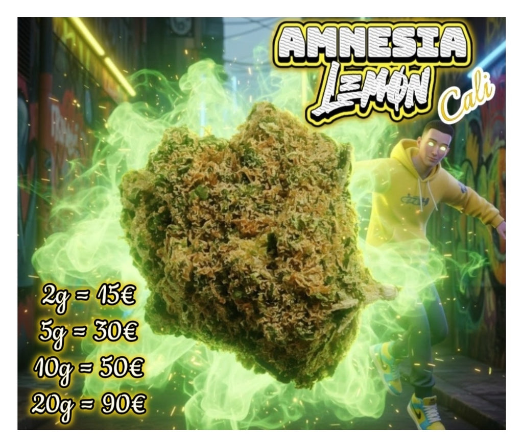 Amnesia lemon cali🏆🇺🇲