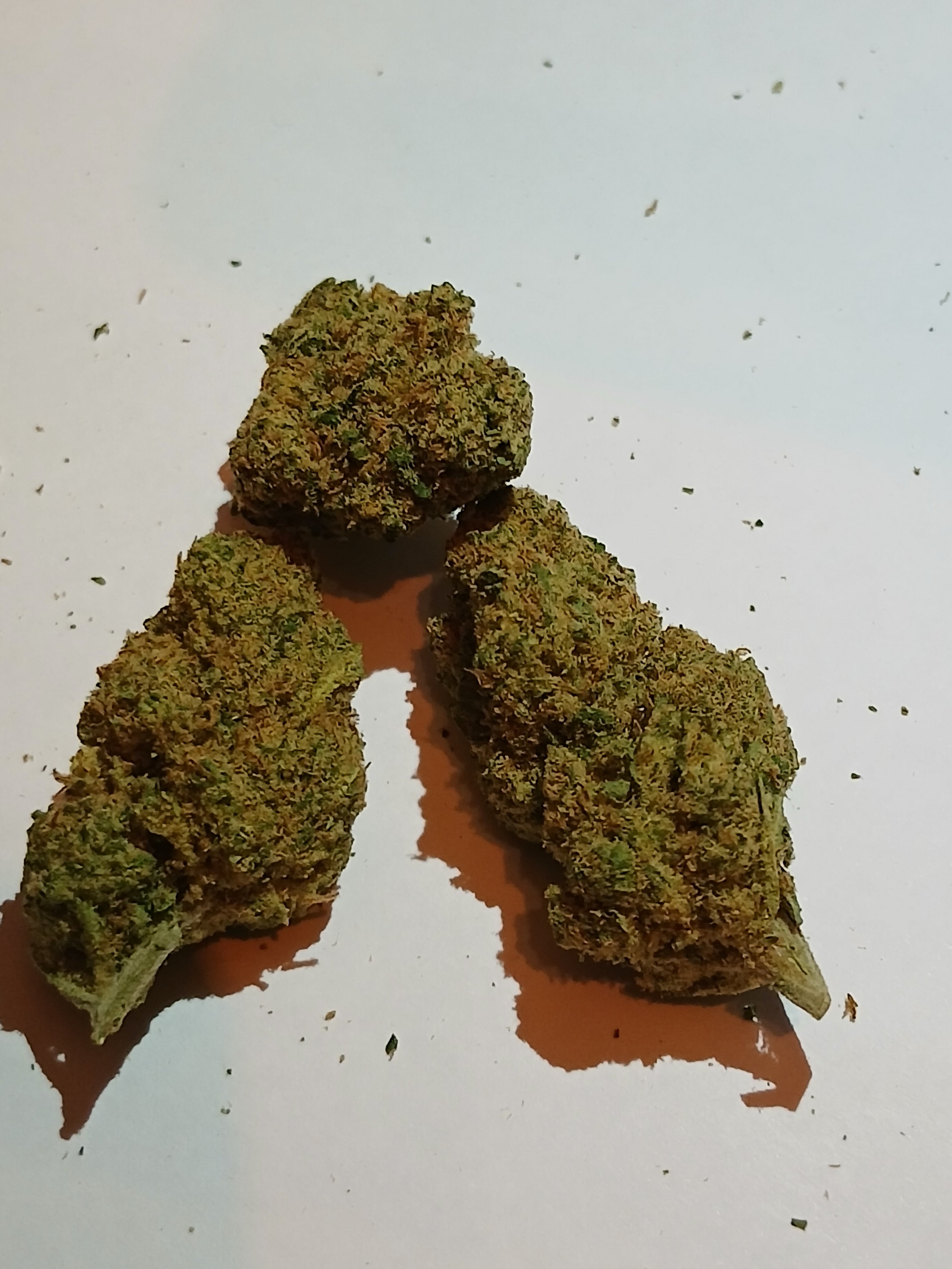 Pack découverte = 1g og kush, 1g g13, 1g Amnesia lemon cali , 1g hash Amnesia Haze,  1g Northern Lights