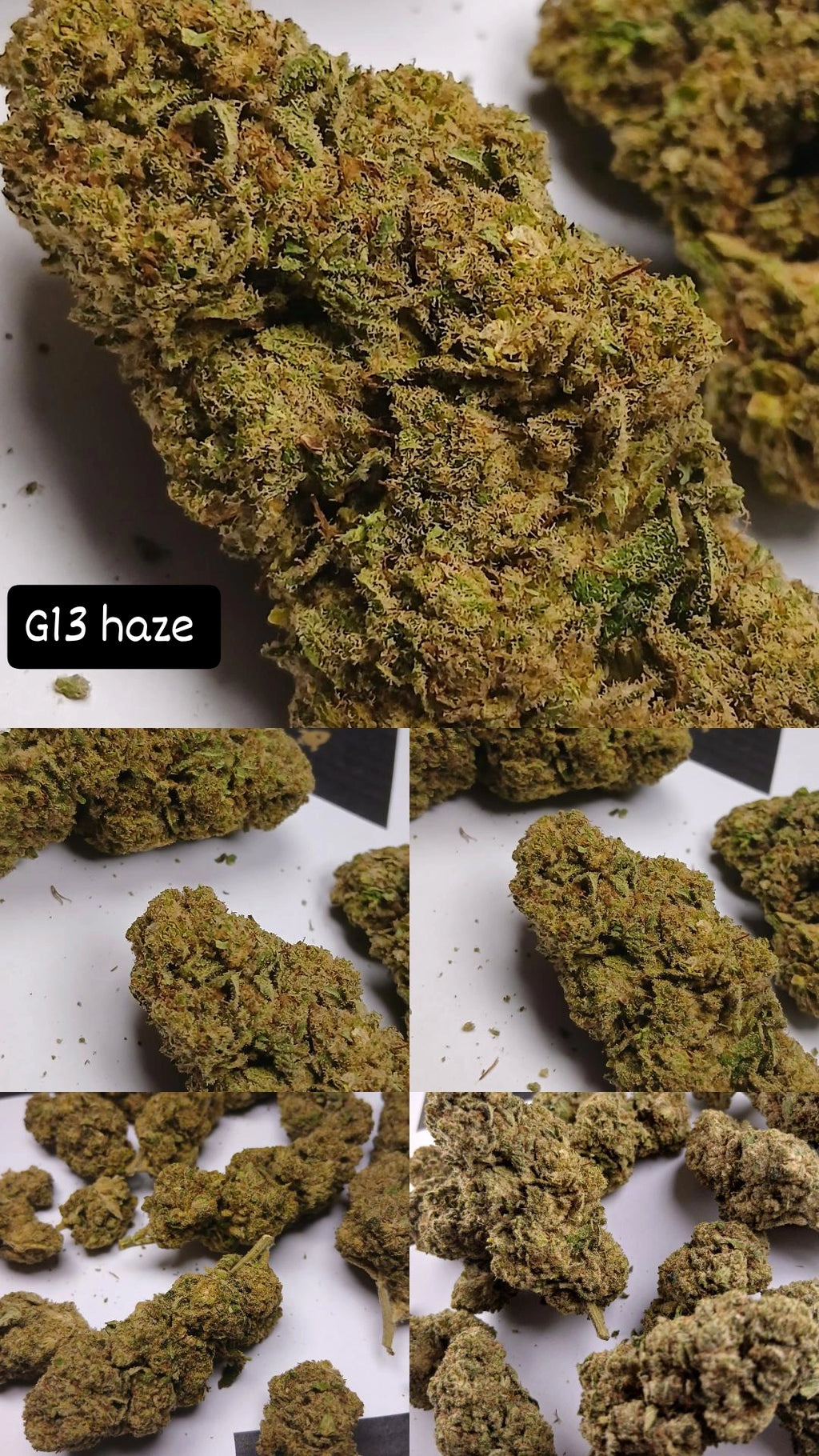 Pack découverte = 1g og kush, 1g g13, 1g Amnesia lemon cali , 1g hash Amnesia Haze,  1g Northern Lights