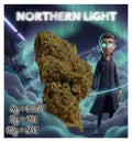 NORTHERN LIGHTS 🧨 ( petite tête )