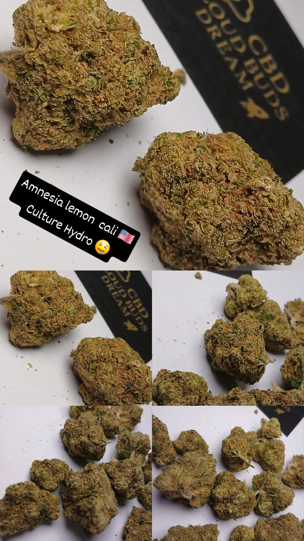 Pack découverte = 1g og kush, 1g g13, 1g Amnesia lemon cali , 1g hash Amnesia Haze,  1g Northern Lights