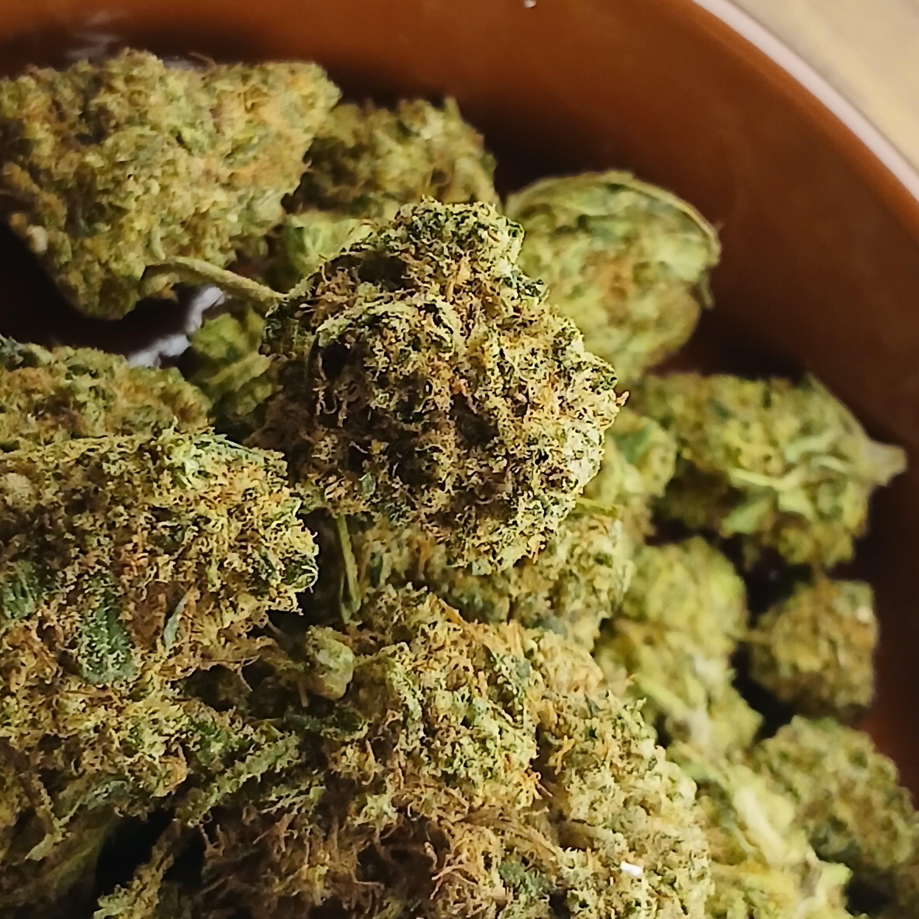 🇲🇫 Orangello by cannaïa 🇲🇫