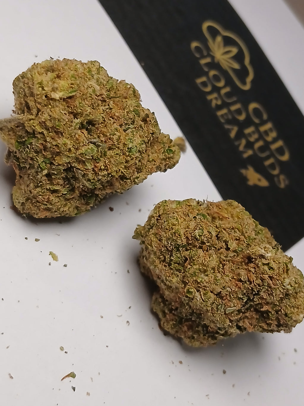 Amnesia lemon cali🏆🇺🇲