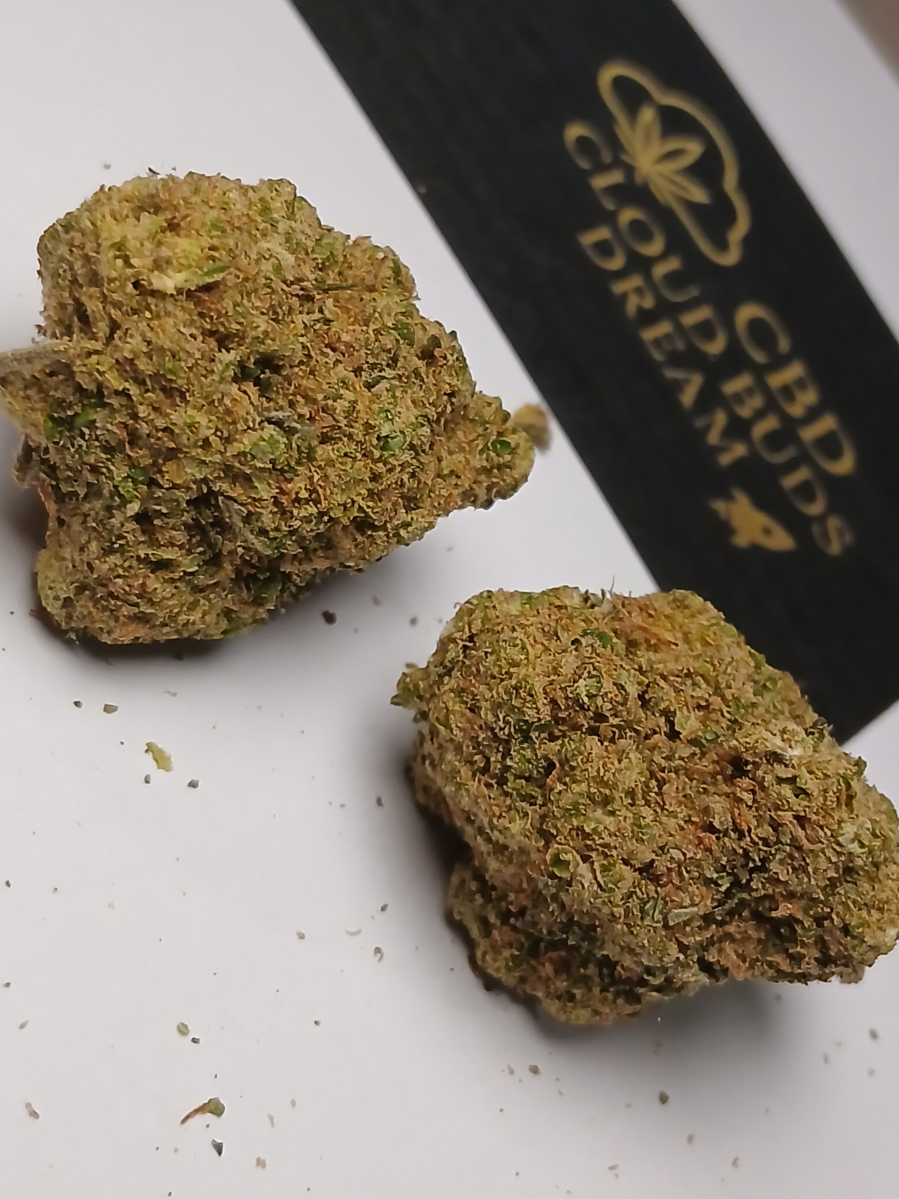 Amnesia lemon cali🏆🇺🇲